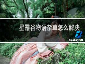 星露谷物语杂草怎么解决