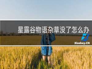 星露谷物语杂草没了怎么办