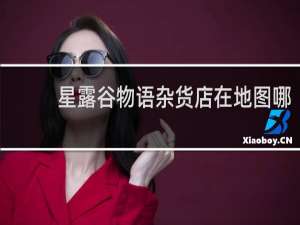星露谷物语杂货店在地图哪