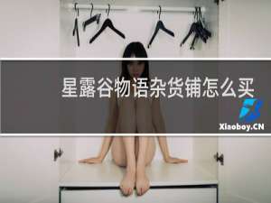 星露谷物语杂货铺怎么买