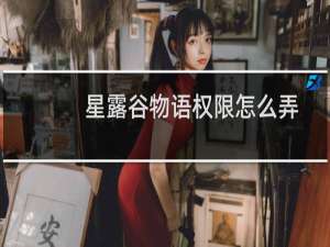 星露谷物语权限怎么弄
