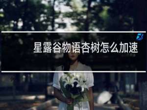 星露谷物语杏树怎么加速