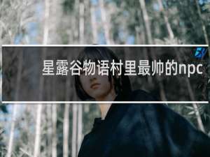 星露谷物语村里最帅的npc
