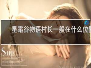 星露谷物语村长一般在什么位置