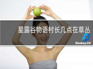 星露谷物语村长几点在草丛