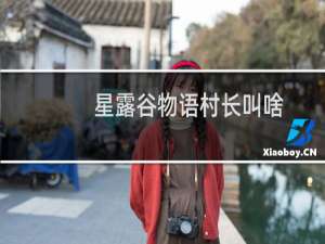 星露谷物语村长叫啥