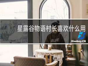 星露谷物语村长喜欢什么用