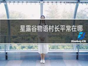星露谷物语村长平常在哪