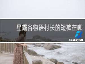 星露谷物语村长的短裤在哪