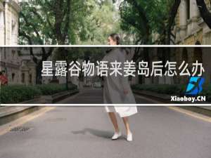 星露谷物语来姜岛后怎么办