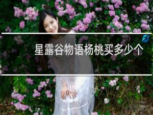 星露谷物语杨桃买多少个