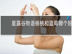 星露谷物语杨桃和蓝莓哪个好