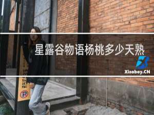 星露谷物语杨桃多少天熟
