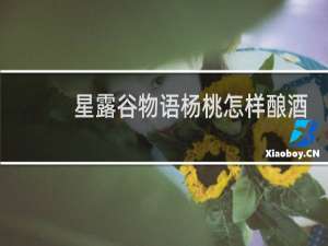 星露谷物语杨桃怎样酿酒
