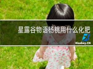 星露谷物语杨桃用什么化肥