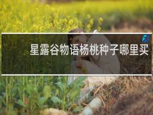 星露谷物语杨桃种子哪里买