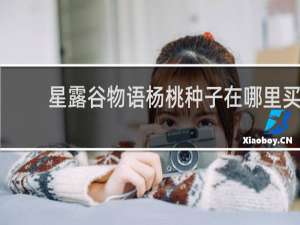 星露谷物语杨桃种子在哪里买