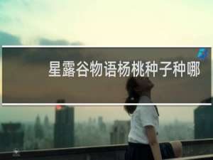 星露谷物语杨桃种子种哪