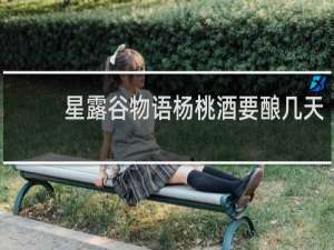 星露谷物语杨桃酒要酿几天