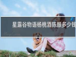 星露谷物语杨桃酒陈酿多少钱