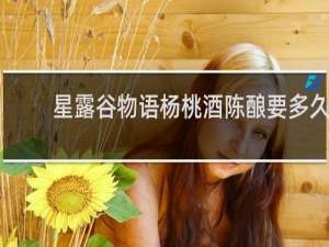 星露谷物语杨桃酒陈酿要多久