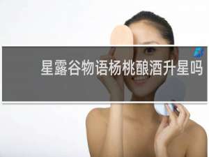 星露谷物语杨桃酿酒升星吗