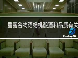 星露谷物语杨桃酿酒和品质有关吗