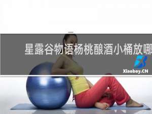 星露谷物语杨桃酿酒小桶放哪