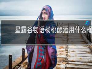 星露谷物语杨桃酿酒用什么桶