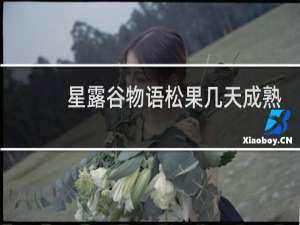 星露谷物语松果几天成熟