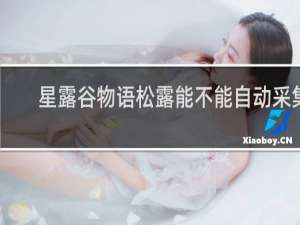 星露谷物语松露能不能自动采集