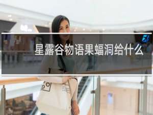 星露谷物语果蝠洞给什么