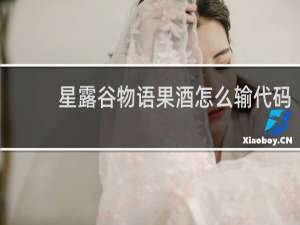 星露谷物语果酒怎么输代码