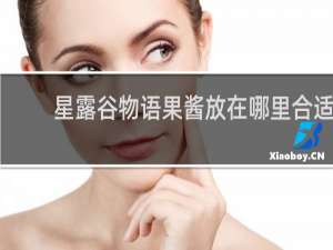 星露谷物语果酱放在哪里合适