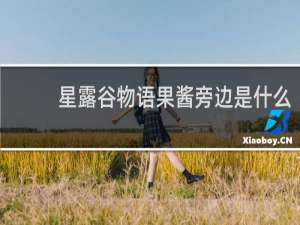 星露谷物语果酱旁边是什么