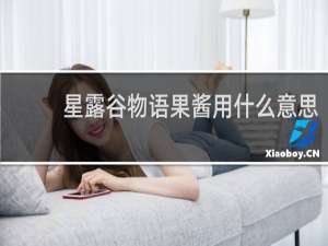 星露谷物语果酱用什么意思