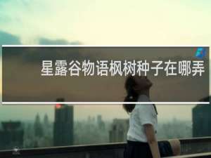 星露谷物语枫树种子在哪弄