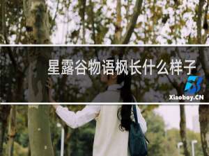 星露谷物语枫长什么样子