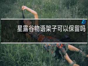 星露谷物语架子可以保留吗