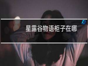 星露谷物语柜子在哪