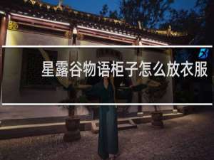 星露谷物语柜子怎么放衣服