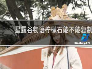 星露谷物语柠檬石能不能复制