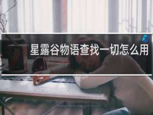 星露谷物语查找一切怎么用
