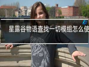 星露谷物语查找一切模组怎么使用