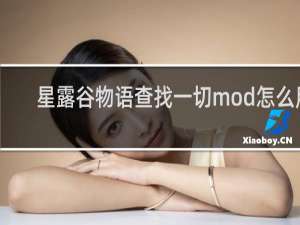 星露谷物语查找一切mod怎么用