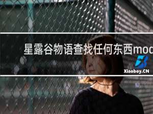 星露谷物语查找任何东西mod