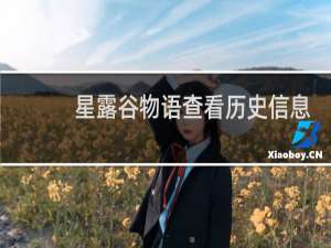 星露谷物语查看历史信息