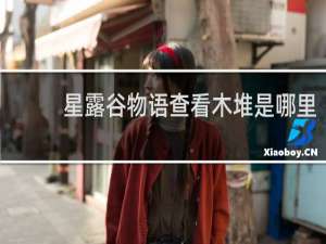 星露谷物语查看木堆是哪里