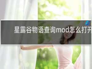 星露谷物语查询mod怎么打开