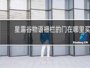 星露谷物语栅栏的门在哪里买